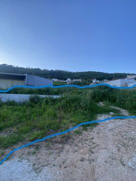 Especialista de Limpeza de Terrenos