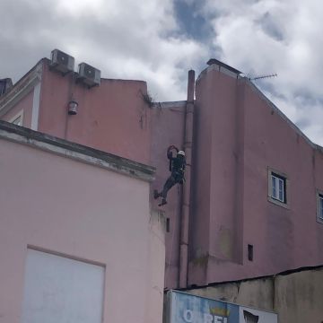 Vertical Nine - Almada - Tree Trimming and Maintenance