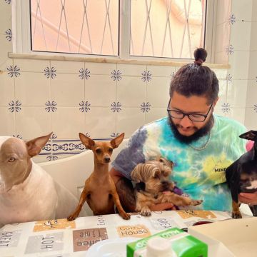 @casadacatipet - Vila Nova de Gaia - Creche para Cães