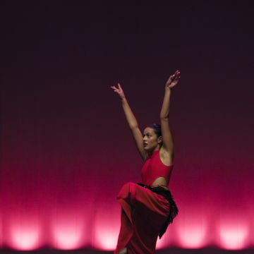 Espectáculos de danza - Pedro Santos - Oviedo