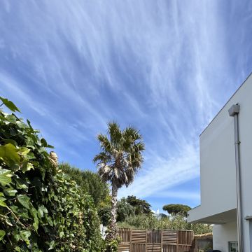 Ms Jardins LTDA - Cascais - Enlèvement de souches d’arbres