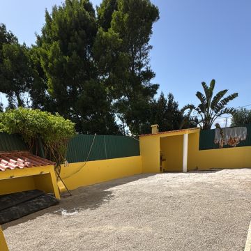 Ms Jardins LTDA - Cascais - Plantation d’arbres