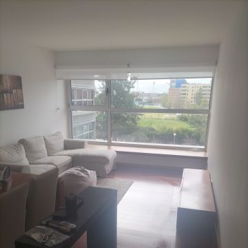 Alvarosantos - Lisboa - Remoção de Tronco de Árvore