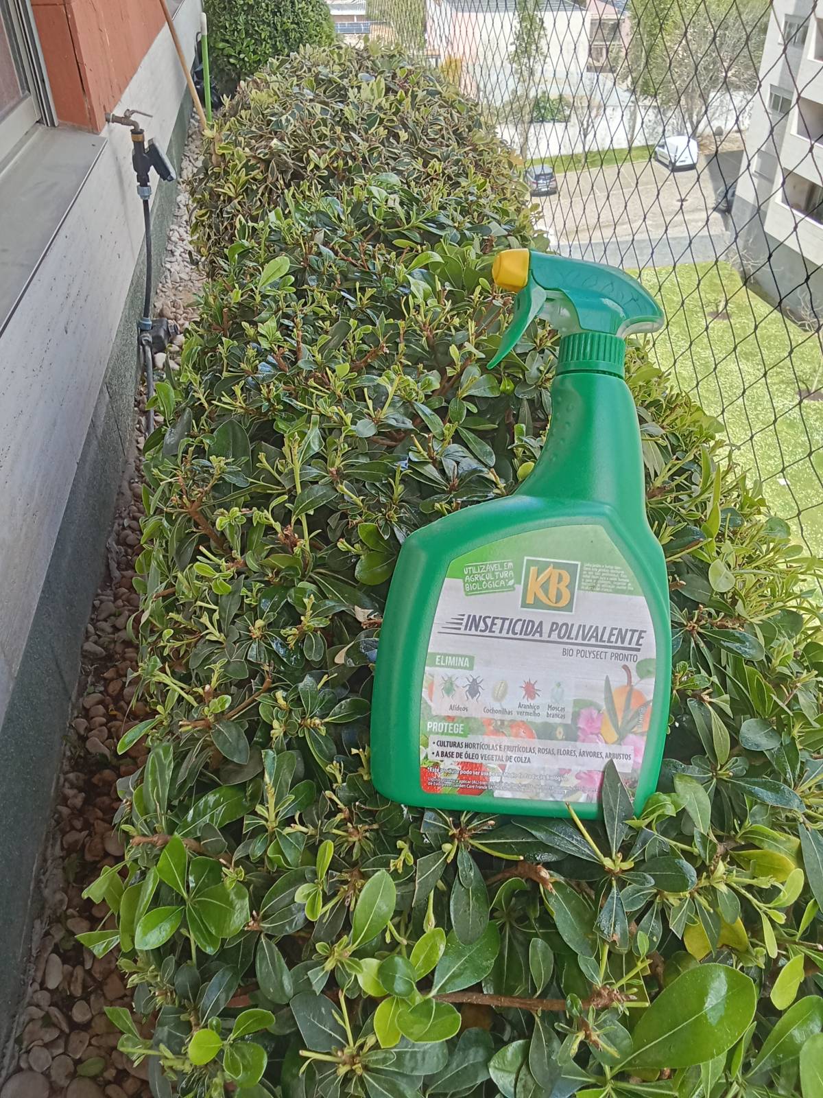 Verde Selvagem Jardinagem-Limpeza - Lisboa - Remoção de Arbustos