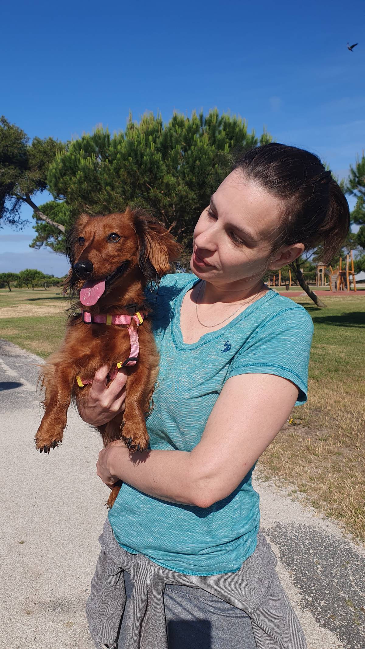 Cris - Almada - Dog Walking