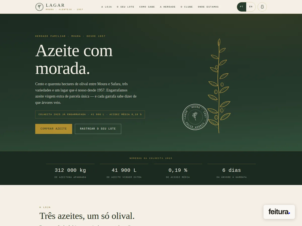 Feitura.com - Sintra - Web Development