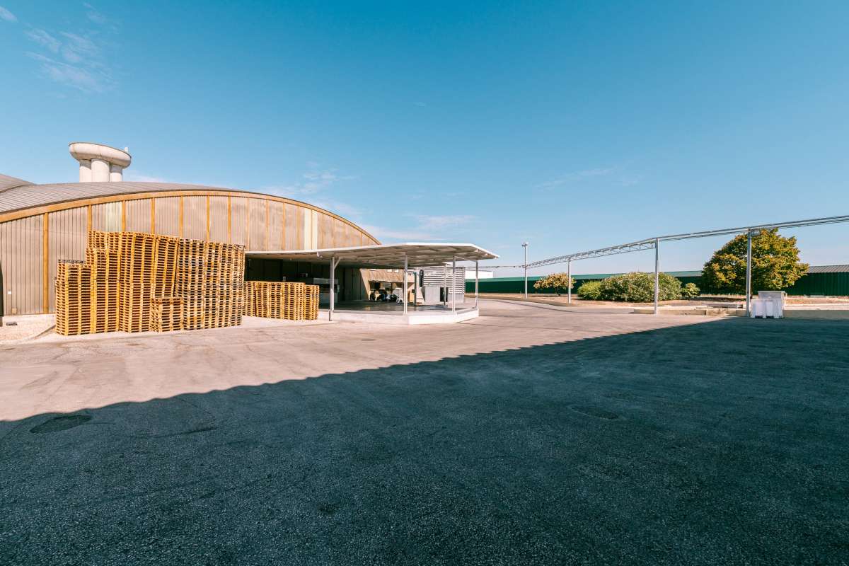 Afonso C. - Setúbal - Hochzeitsfotografie