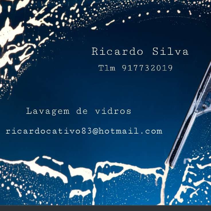 Ricardo Silva - Maia - Limpeza de Espaço Comercial