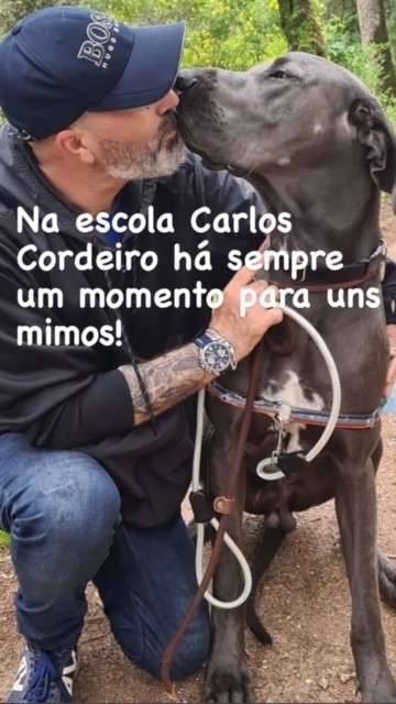Escola de Cães Carlos Cordeiro - Oeiras - Treino de Cães