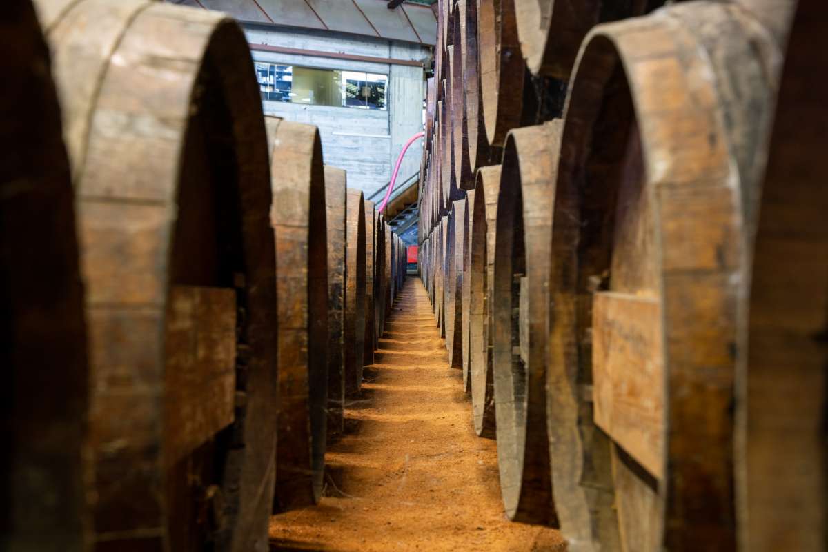 Afonso C. - Setúbal - Fotografie