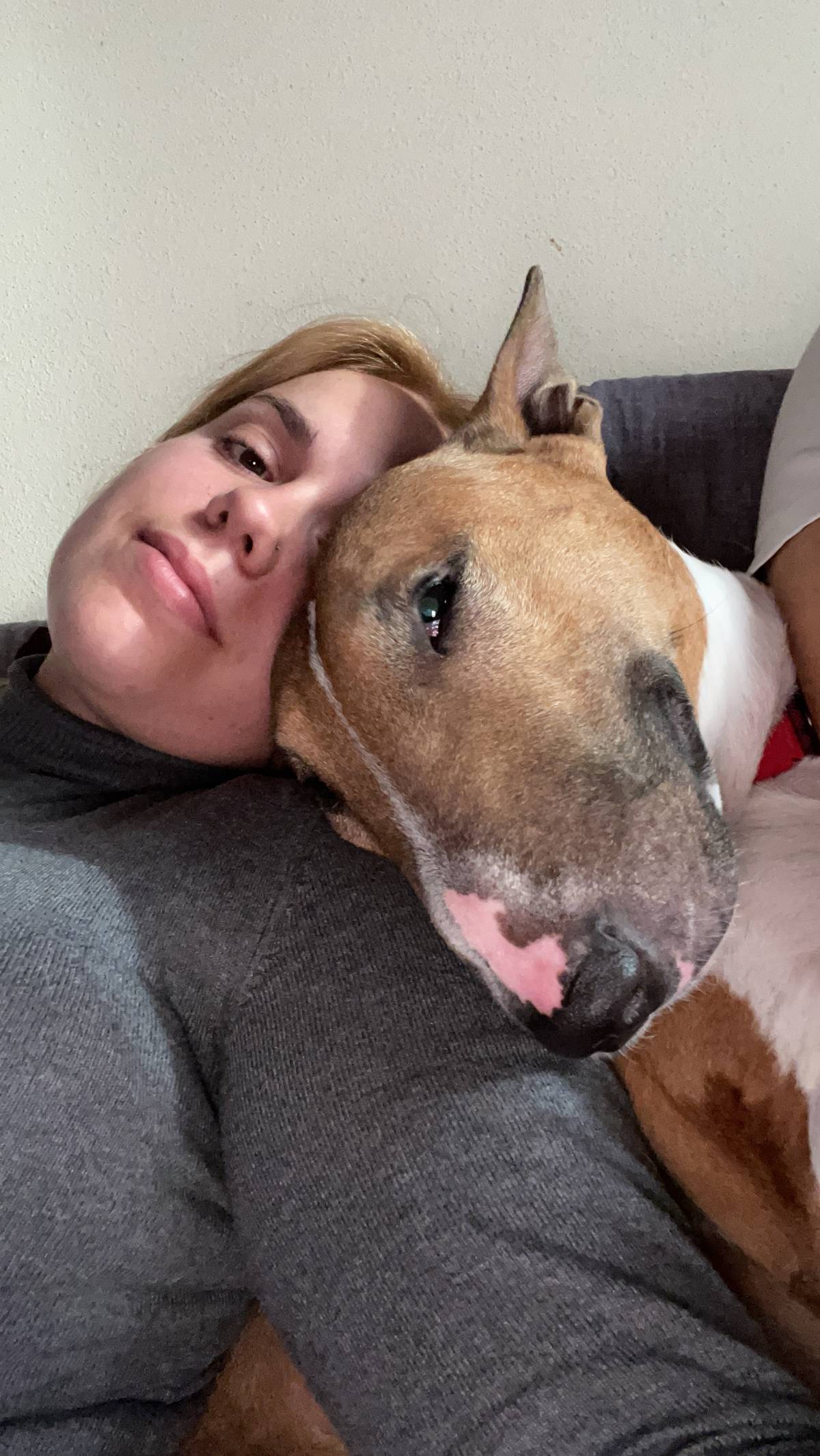 Margarida Tavares - Vagos - Pet Sitting