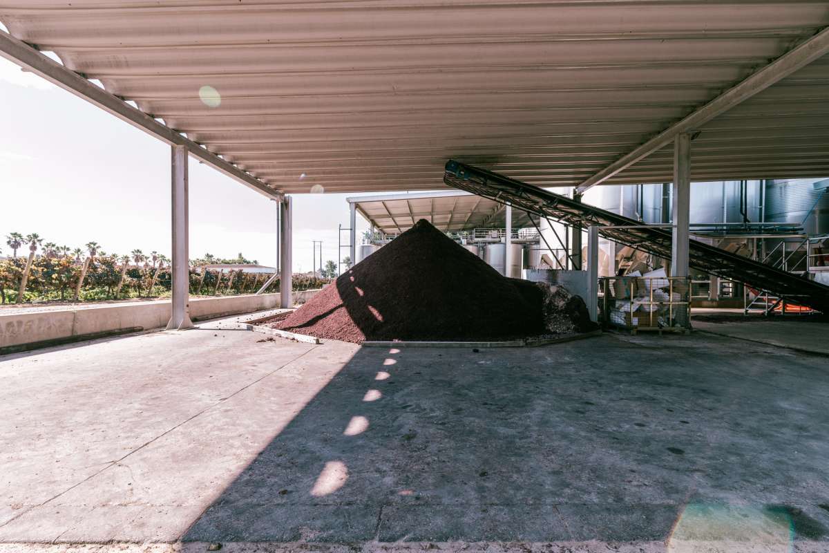 Afonso C. - Setúbal - Fotografie