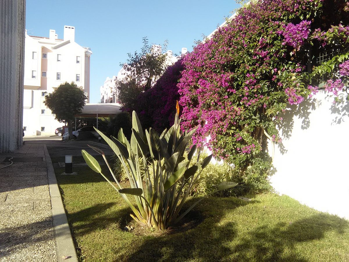 Verde Selvagem Jardinagem - Lisboa - Limpeza de Terrenos