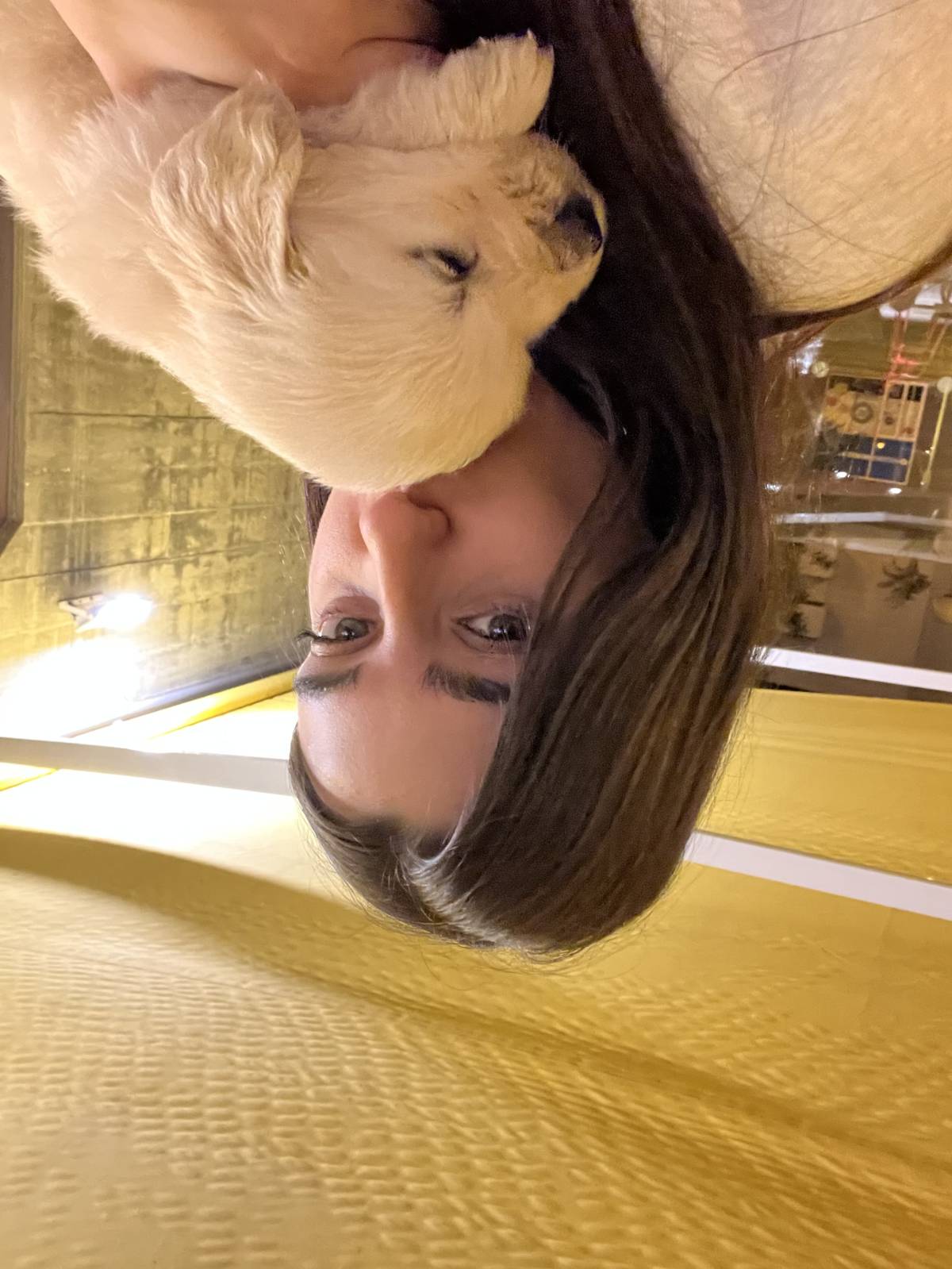 Mara Cortez - Coimbra - Dog Hotel