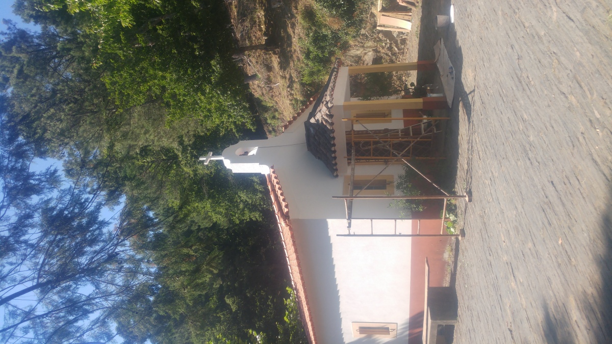 ArmindoMendesConstruções - Lousã - Poda e Manutenção de Árvores