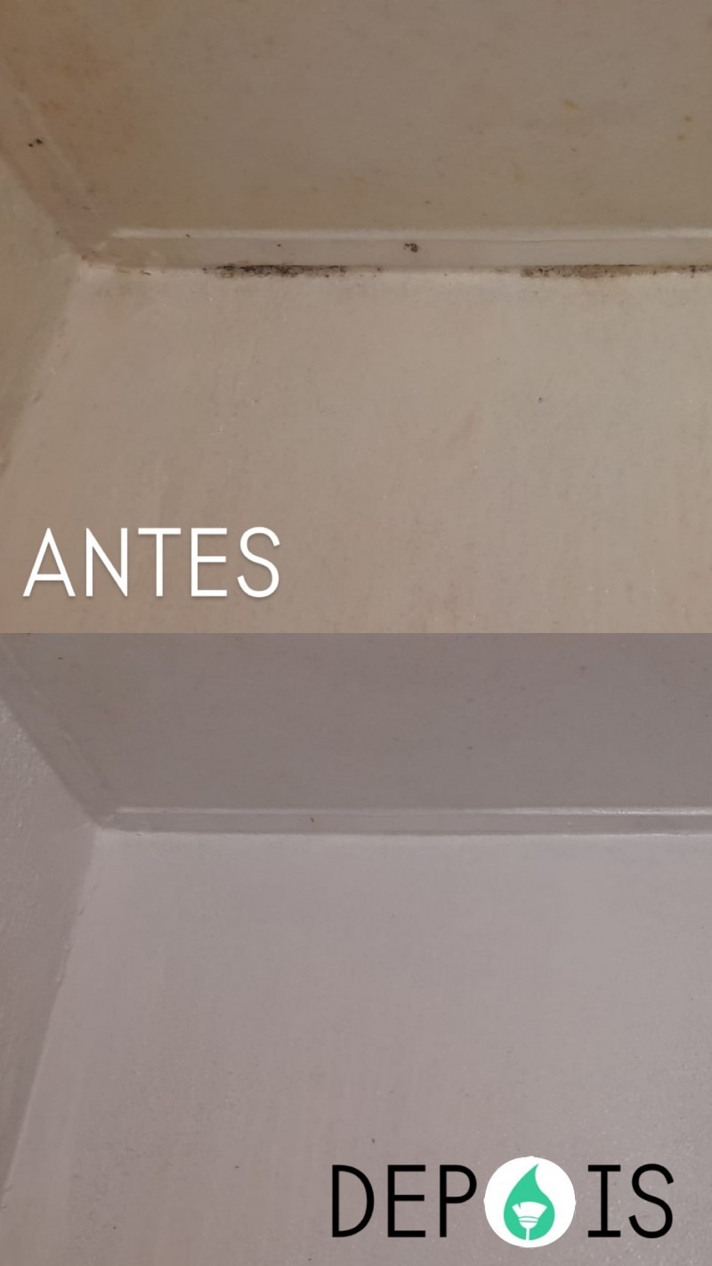 Esquadrão da Limpeza - Torres Vedras - Limpeza Após Mudanças