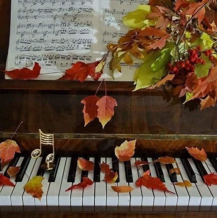 Professora de Piano - Seixal - Mundharmonika-Unterricht