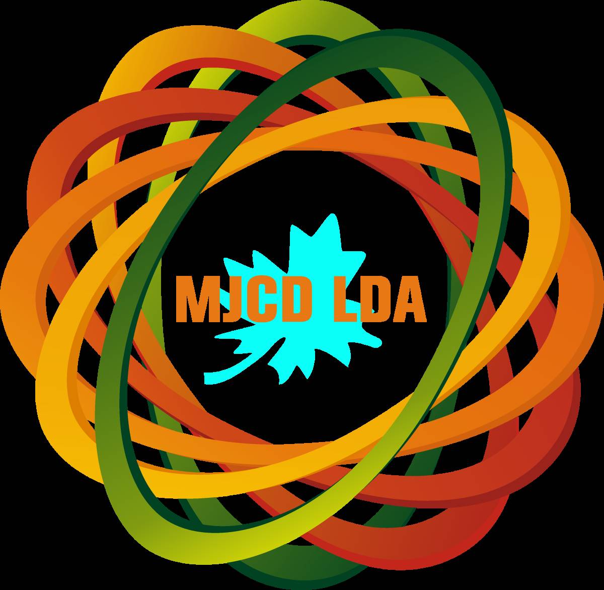 MJCD - Santarém - Home Organizing