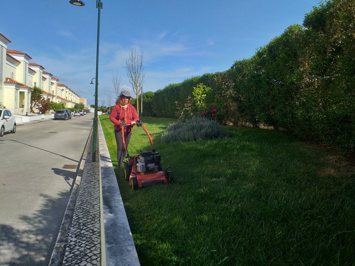 Verde Selvagem Jardinagem - Lisboa - Remoção de Arbustos