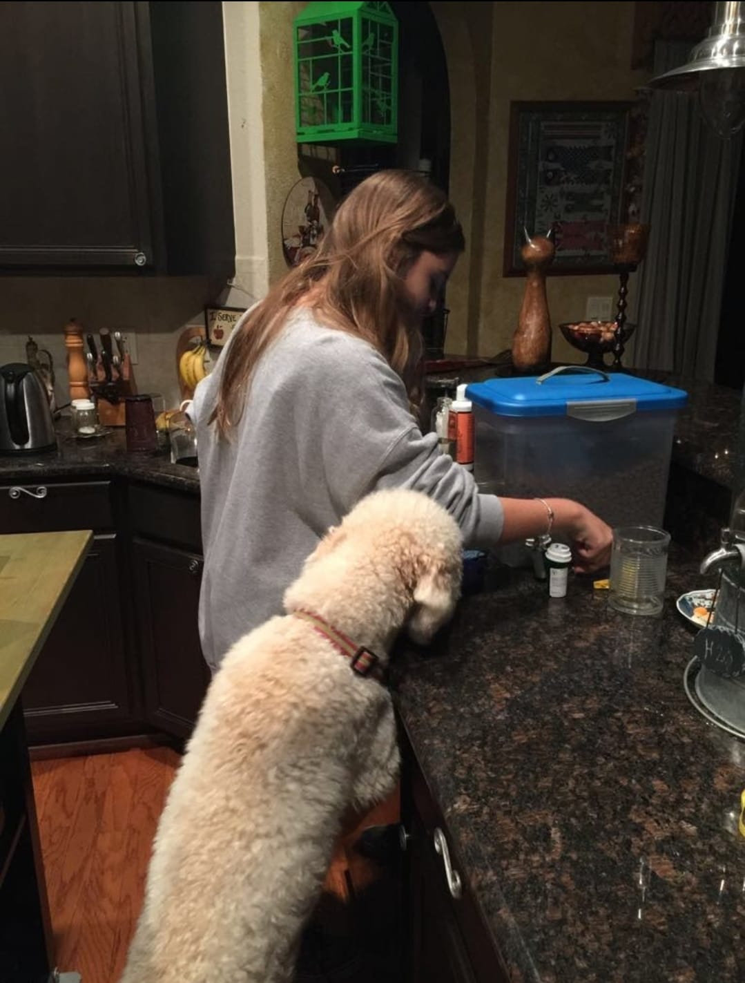 Giovanna Maffeis - Santarém - Aulas de Português para Estrangeiros