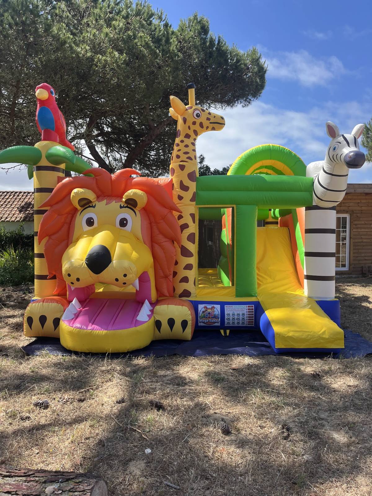Mega Saltos - Cascais - Moon Bounce mieten