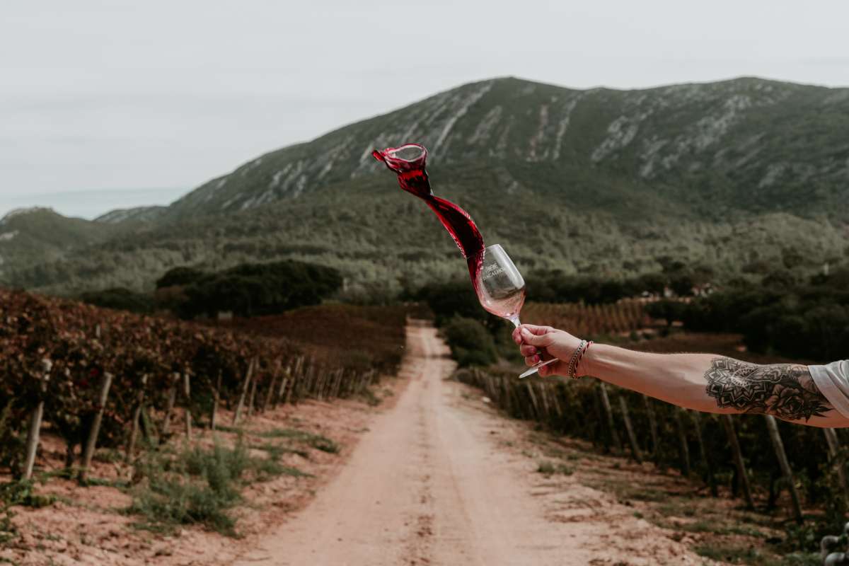 Afonso C. - Setúbal - Businessfotografie
