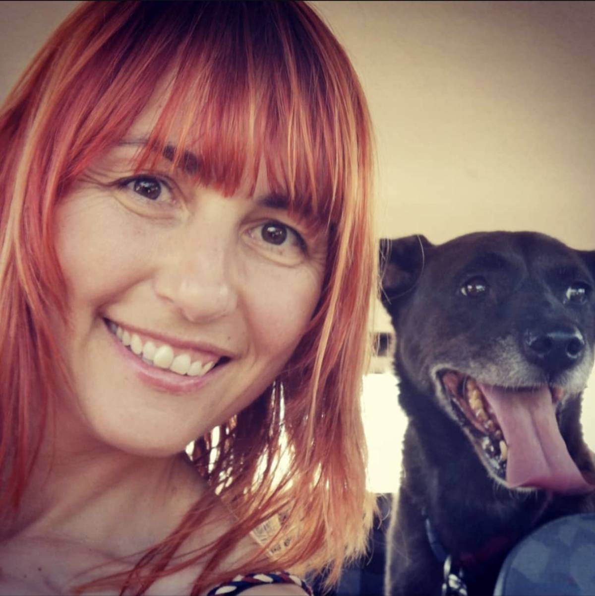 Monica Santos - Entroncamento - Baths and Grooming for Animals