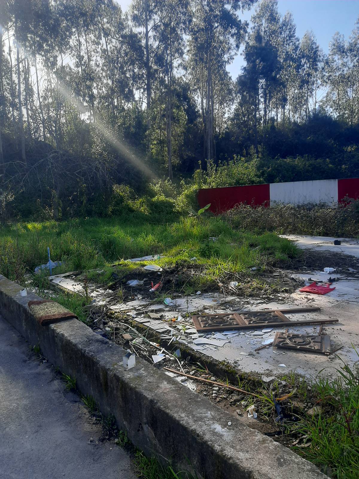 Miguel moreira - Maia - Limpa-neves (Residencial)