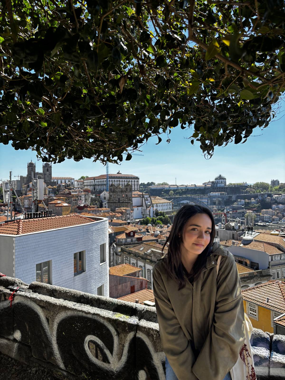 Iris Conceição - Lisboa - Bains et toilettage pour animaux