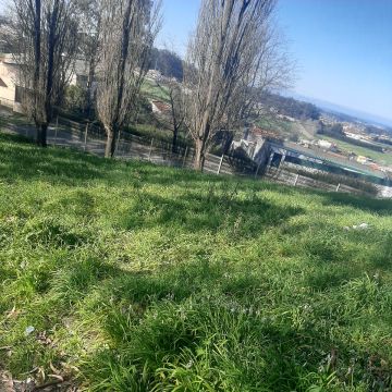 Miguel moreira - Maia - Jardinagem