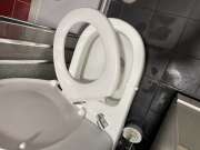 Toilet Repair Service - Technical Assistance