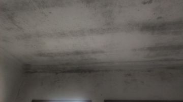 Peinture de maison