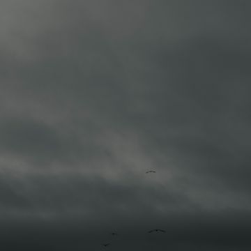 photodiogo - Valongo - Fotógrafo