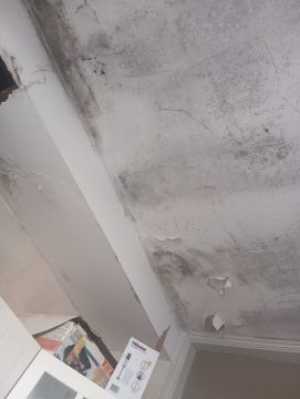 Pintor de Casas