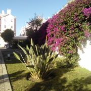 Verde Selvagem Jardinagem - Lisboa - Limpeza de Terrenos