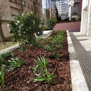 Verde Selvagem Jardinagem - Lisboa - Plantação de Árvores