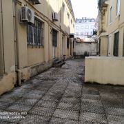 Verde Selvagem Jardinagem - Lisboa - Limpa-neves (Residencial)