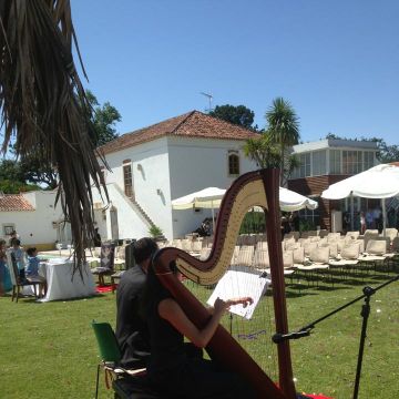 Ana Ester Santos - Sintra - Aulas de Harpa