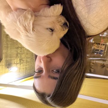 Mara Cortez - Coimbra - Dog Hotel