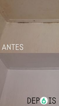 Esquadrão da Limpeza - Torres Vedras - Limpeza Após Mudanças