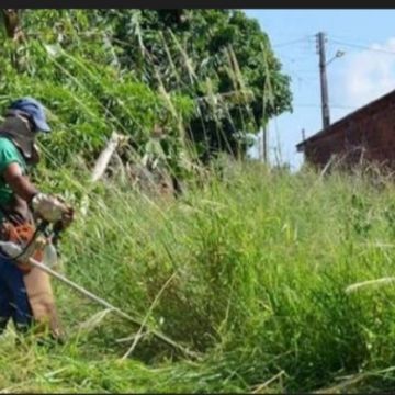 Miguel moreira - Maia - Remoção de Tronco de Árvore