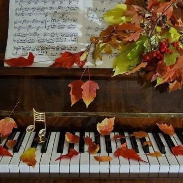 Professora de Piano - Seixal - Mundharmonika-Unterricht
