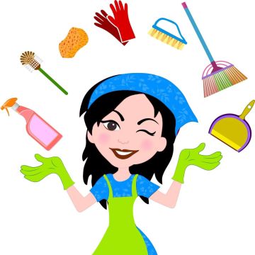 Lili_Limpeza profunda. - Viseu - Window Blinds Cleaning