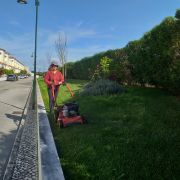 Verde Selvagem Jardinagem - Lisboa - Remoção de Arbustos