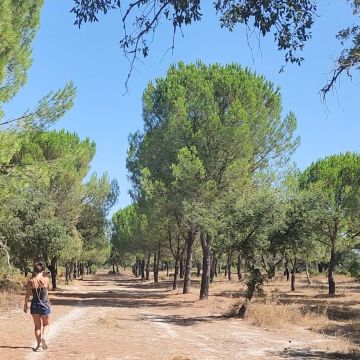 Giovanna Maffeis - Santarém - Dog Walking