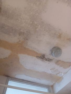 Pintura de Casas