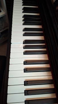 Musikinstrumententechniker