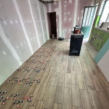 Construções Rodrigues - Castelo Branco - Poda e Manutenção de Árvores