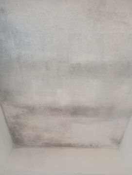 Pintura - Casa