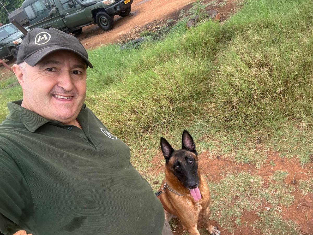 Couto - Marco de Canaveses - Dog Training - Private Lessons